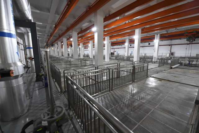 綠茵之下,匠心筑夢 一座公園的園林實業密碼